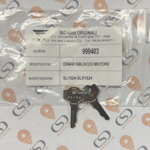 999403 CHIAVI SBLOCCO 3172
