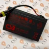 999720 BATTERIA Pb PARK